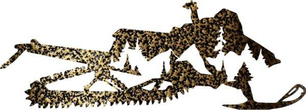 Sled Mtn Gold Vein