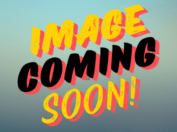 Header Image Giant ICS